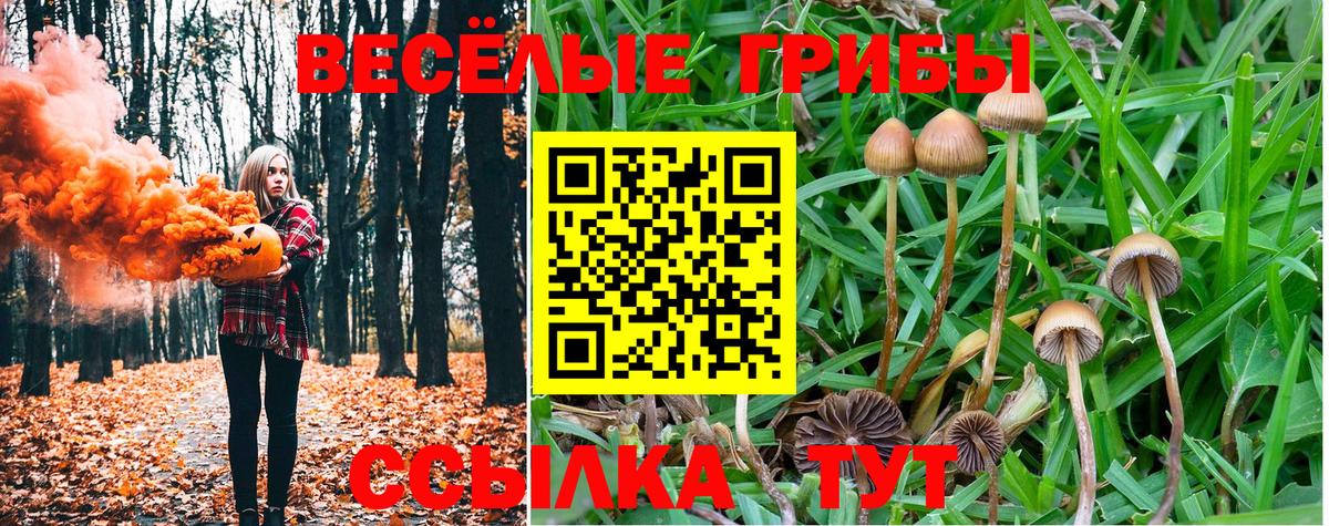 Галлюциногенные грибы ЛСД Лесозаводск