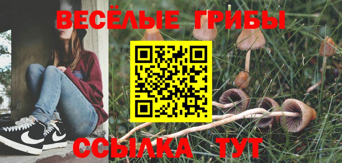 Лесозаводск  Галлюциногенные грибы ЛСД  где купить наркоту  Галлюциногенные грибы прущие грибы  Вход с VPN 